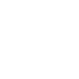 Index Of Assets Favicon